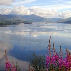 Meet your Posher, Rita